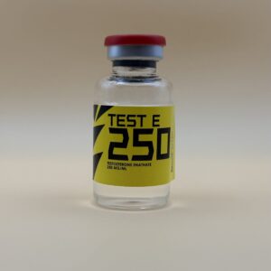 Test- E 250